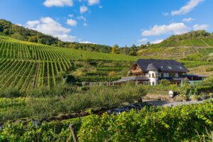 Weinhaus Michaelishof