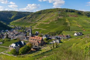 Mayschoß vom Rotweinwanderweg